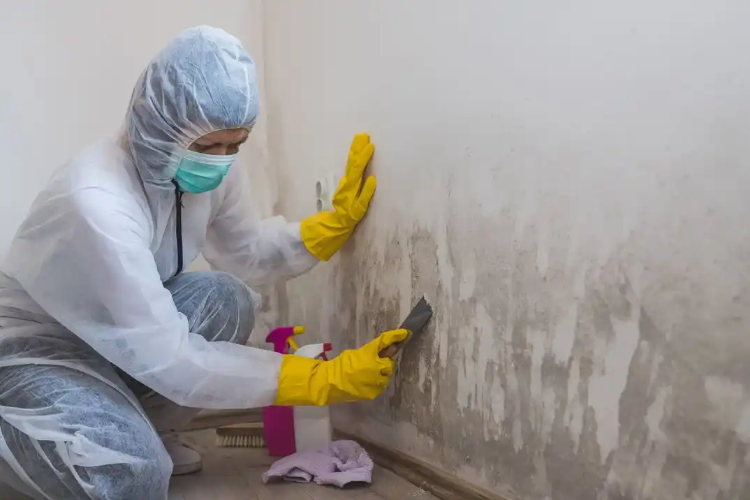 water damage restoration service Old Enfield